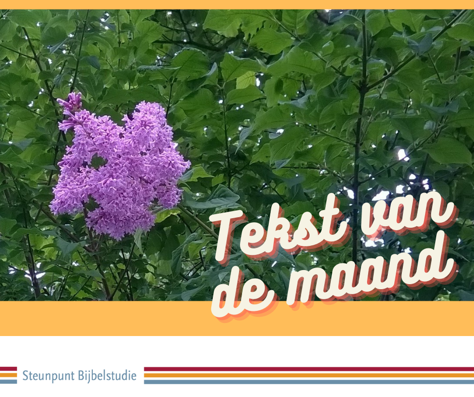 tekstnb