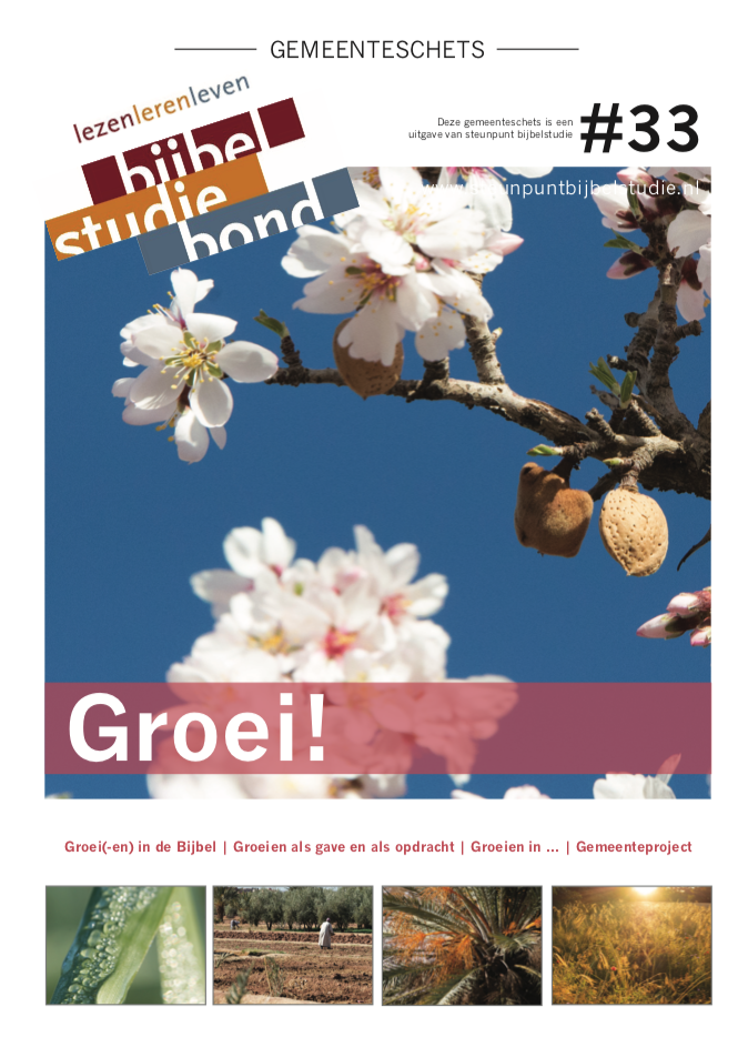 Gemeenteschets #33 - Groei